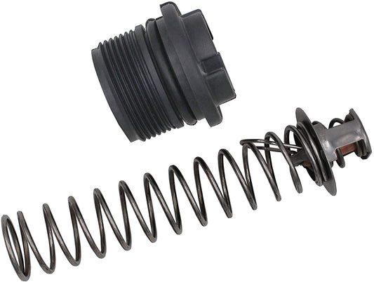 Sta-Rite Thermal Regulator Kit 77707-0010