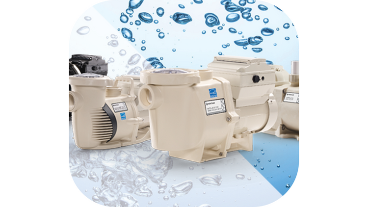 Pentair Pool Pumps